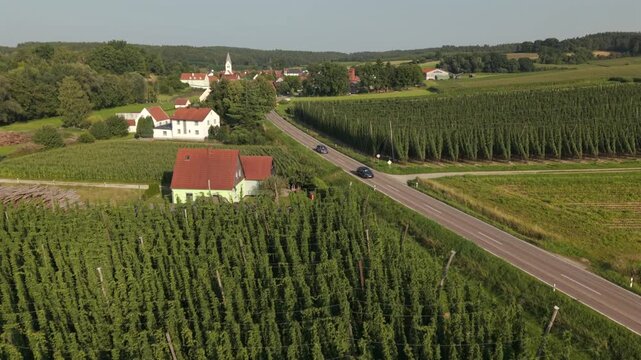 Fly with me along the Bavarian hops fields close to Pfaffenhofen region which is called the Holledau region and which is one of the biggest hops agriculture areas worldwide