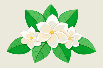Minimal Flat Vector Illustration of Three Gardenia Flowers