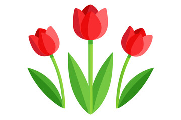 Obraz premium Minimal Flat Vector Illustration of Three Red Tulip Flowers
