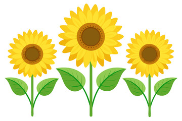 Obraz premium Minimal Flat Vector Illustration of Three Yellow Sunflower Blooms