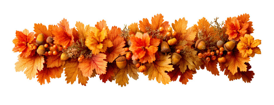 Autumn Leaves and Acorns Garland for Seasonal Decor and Fall Inspiration on transparent background. Halloween or Thanksgiving decor