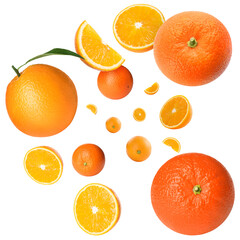 Fresh juicy oranges swirling in air against white background. Citrus fruit
