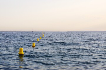 fishing in the sea