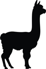 Minimalist Black Llama Silhouette Vector Art