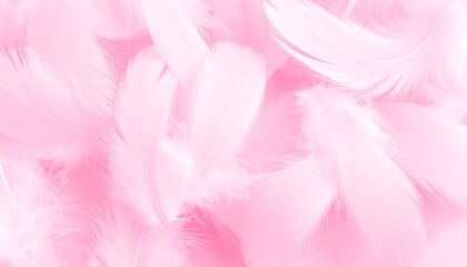 Obraz premium Pink feather texture background.