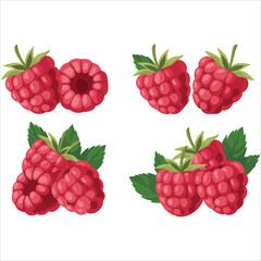 Fresh berries collection vector graphic white background