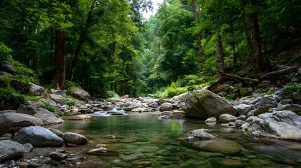 Fototapeta premium Tranquil stream flowing through a lush forest.