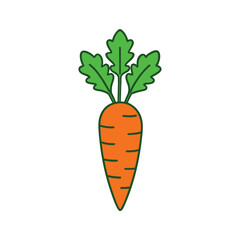 Carrot Silhouette Vector with Detailed Leaves on White Background