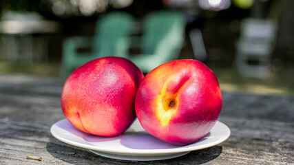 Juicy nectarines resting on a white plate outdoors during a sunny afternoon
