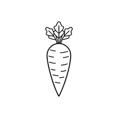 Carrot Vector Artwork on White Background for Print and Digital
