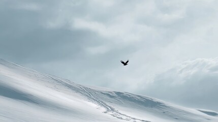 Majestic bird soars gracefully over a vast, snow-covered mountain landscape under a cloudy sky