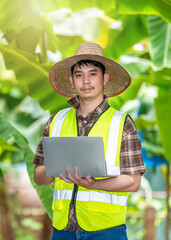 A handsome young farmer inspects his organic banana plantation, using modern technology to increase...