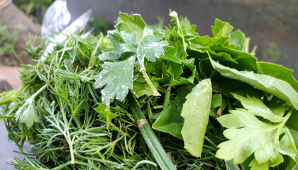 Frozen herb mix, parsley, dill and basil leaves covered in frost and ice crystals. Tasty food.