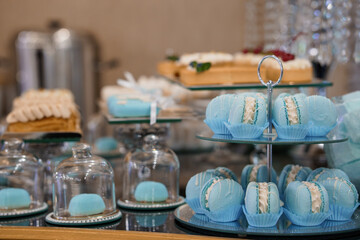 Elegant Blue Pastel Dessert Table Setup with Macarons, Cakes and Tiered Stands for Wedding or...