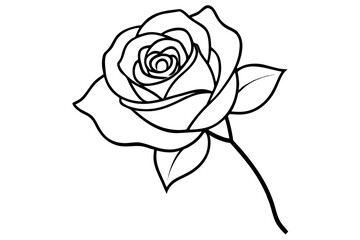 Rose line art vector illustration