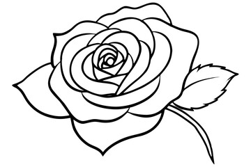 Rose line art vector illustration