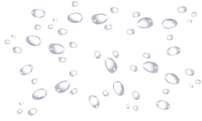 Transparent Water Droplets Isolated on Clear Background