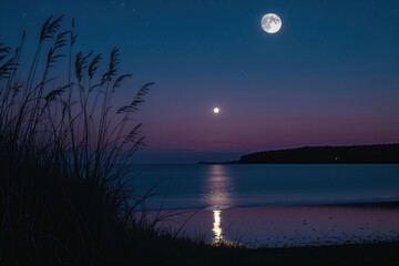 Twilight Tranquility with Grass Silhouettes and Shoreline Beneath the Moonlight