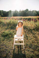 Child poses on a white stool in a sunny field surrounded by wildflowers during golden hour