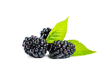Ripe shiny blackberry with leaves isolated on white background.
