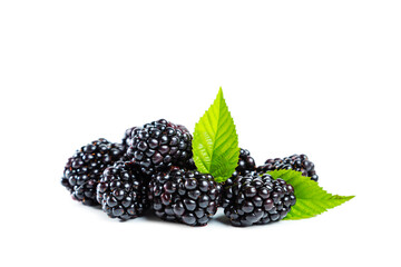 Ripe shiny blackberry with leaves isolated on white background.