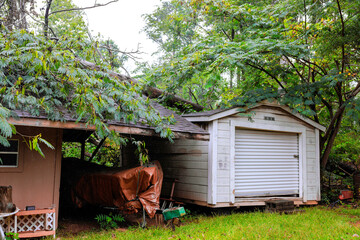 Large tree has fallen onto garage, shed in backyard, causing significant damage in wet environment.