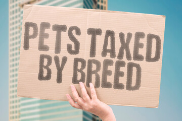 Pets taxed by breed. Protest against canine classification fees tied to genetic heritage....