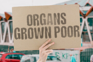 Organs grown poor. A protest banner raises ethical concerns over human cloning and wealth-driven...