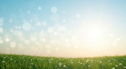 Obraz premium Vast green meadow with small white flowers under a bright blue sky with sun and bokeh lights