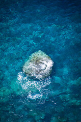 Minimalist Ocean Scene with Underwater Reef and Foam