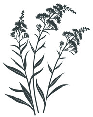 Naklejka premium Minimalist Goldenrod Flower Silhouette Vector