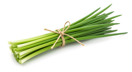 Green Herb Chives in High-Resolution Studio Shot