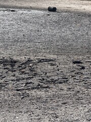 Dried Earth Surface