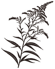 Minimalist Wild Goldenrod Plant Silhouette