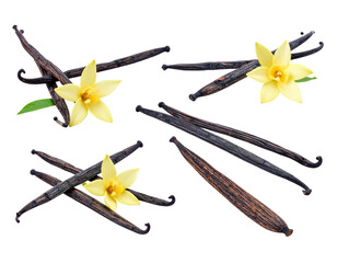 Brown vanilla beans, fragrant flowers, with leaves. Black background. Elegant arrangement