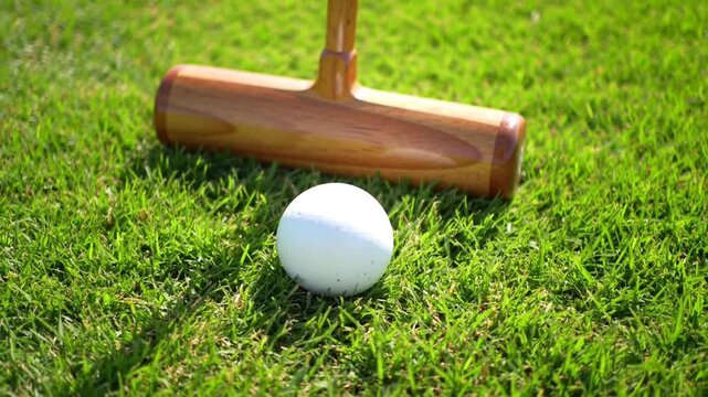 Wooden mallet and ball on green grass