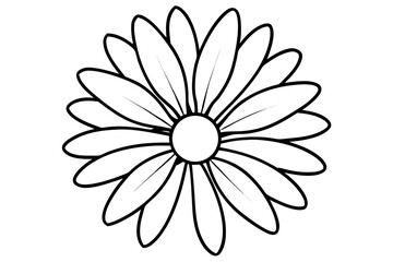 daisy line art flower vector illustration
