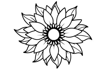 sunflower flowers line art vector illustration
