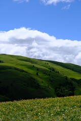 Obraz premium Scenic green hills under blue sky with clouds.