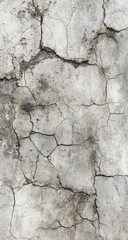 A weathered, grey concrete surface extensively cracked and stained with dark discoloration, showing significant age and wear