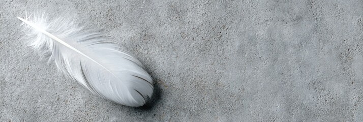 Single white feather rests on a grey textured surface, creating a minimalist, serene image