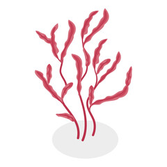 Naklejka premium 3D Isometric Flat Vector Set of Seaweeds, Marine Algae Collection. A set of various types of seaweed gathered from the ocean, perfect for showcasing the beauty of underwater flora.. Item 4