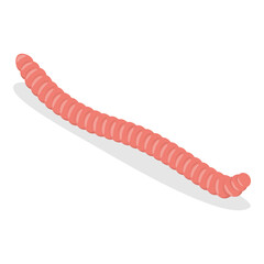 3D Isometric Flat Vector Set of Caterpillars And Worms, Biology and Education. Item 3
