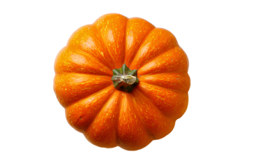  Pumpkin isolated on a white background, top view, in the style of a stock photo. 