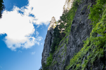 Looking up at the majestic and rocky cliffs of the Bicaz Canyon in the Carpathian Mountains,...