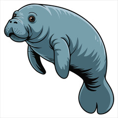 Manatee marine mammal vector illustration white background