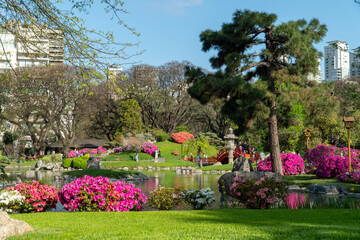 Obraz premium Jardín con flores y lago