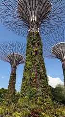 Fototapeta premium gardens by the bay
