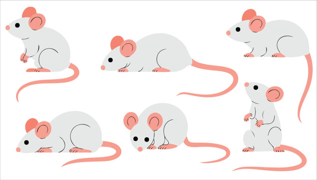 Cartoon white mouse set vector illustration isolated