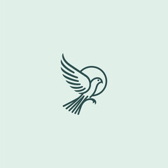 Falcon line logo in elegant and sleek minimalist design.
